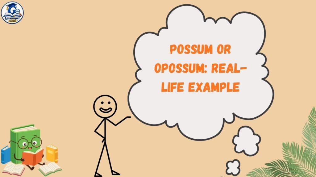 possum or opossum real life example