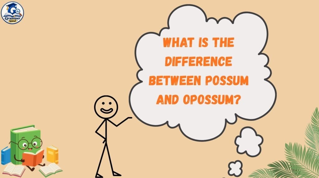 what is the difference between possum and opossum