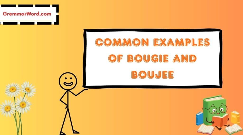 Common Examples of Bougie and Boujee